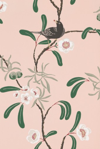 w00arv_104-24_d 104-24